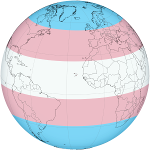 De kleuren van de Trans Pride vlag